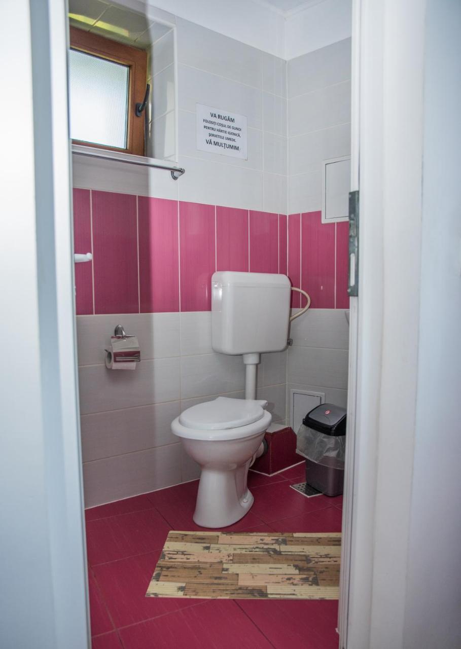 Vila Alegria Buşteni Esterno foto