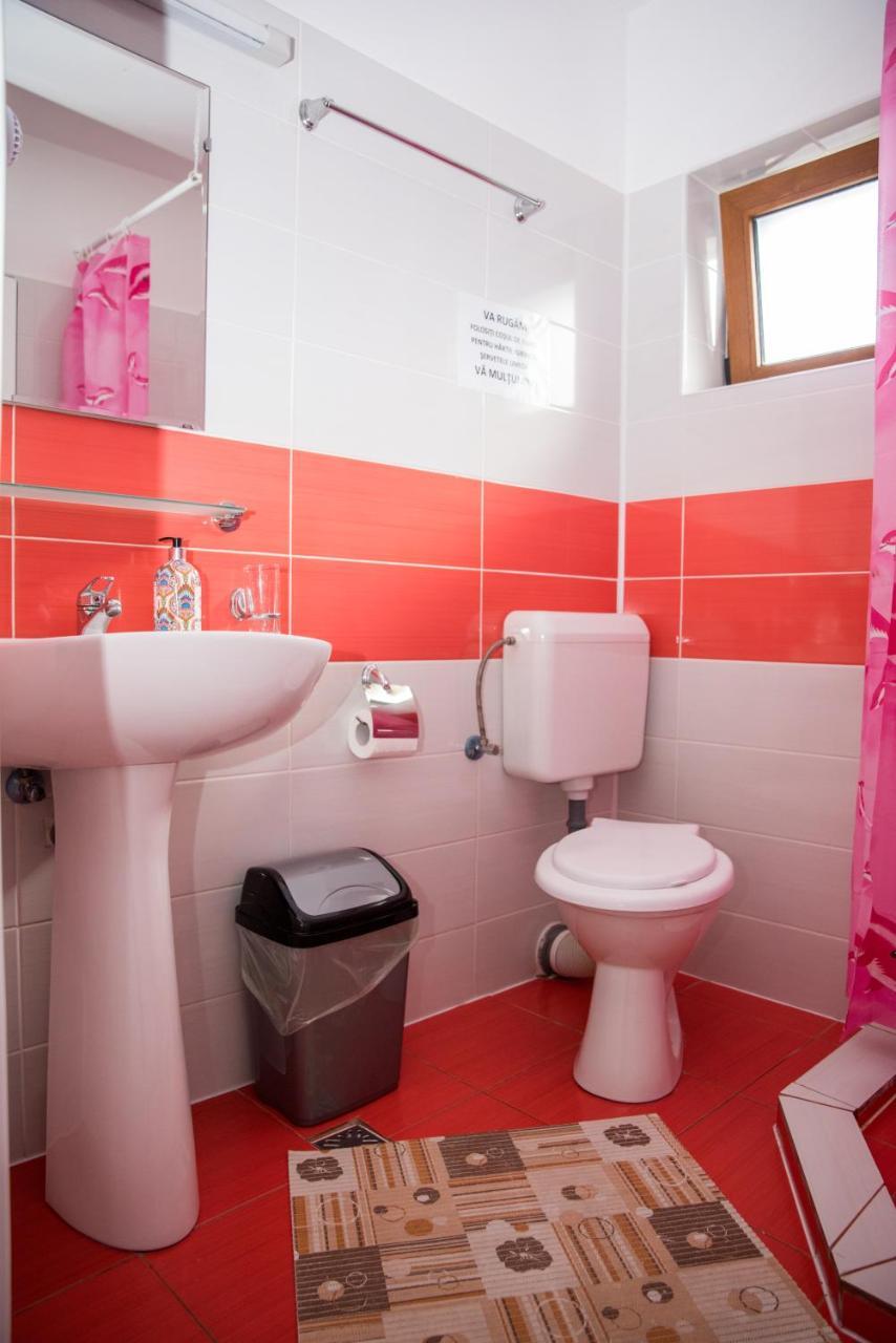 Vila Alegria Buşteni Esterno foto