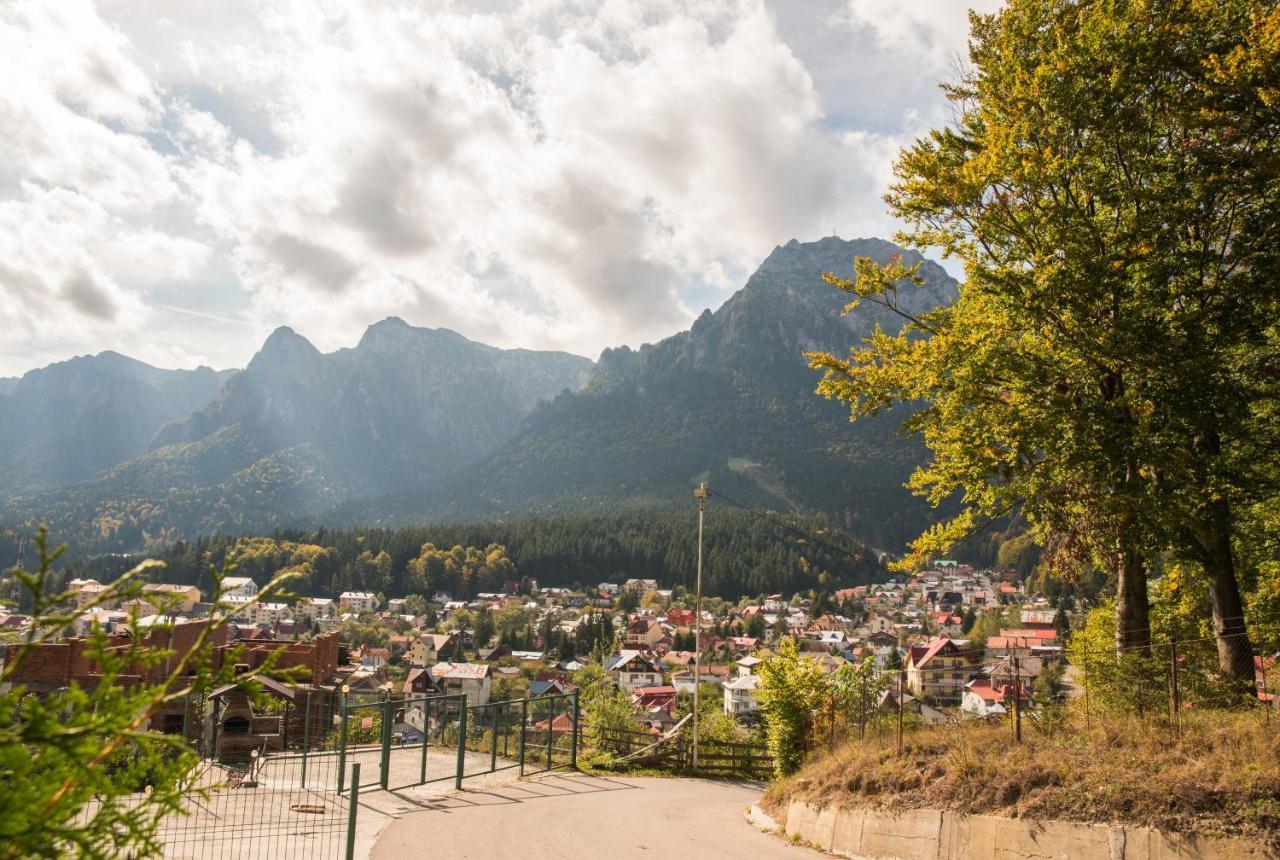 Vila Alegria Buşteni Esterno foto